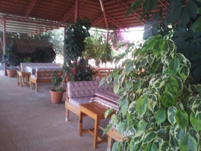 Photos of Yağmur Kafeterya