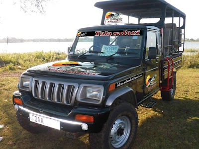 Photos of Feline Yala Safari Jeep Service