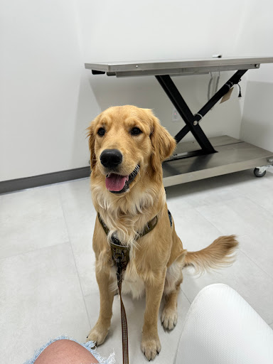 Riverpark Pet Hospital Gallery - United States