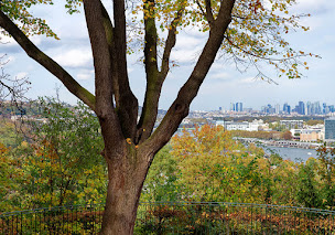 Photo n°4 de Appartements & Maisons - A&M à Sèvres (Agence immobilière)