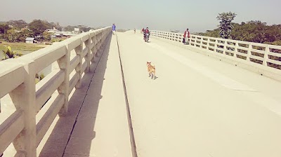 Photos of Harta Bazar