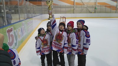 Photos of Ledovaya Arena