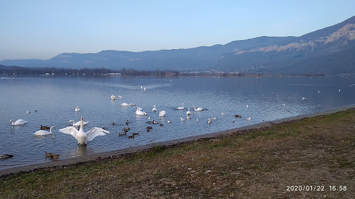 Photo de Marpa le jardin des courtanes à Serrières-en-Chautagne (73310)