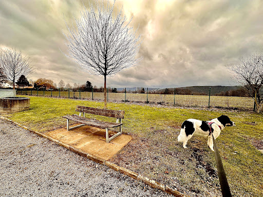 Ev. Friedhof Boele - Thumbnail