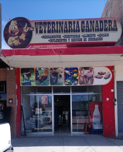 Veterinaria Ganadera