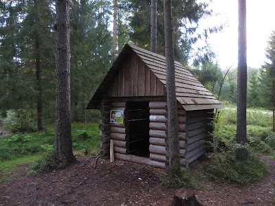 Photos of Kukemetsa metsaonn