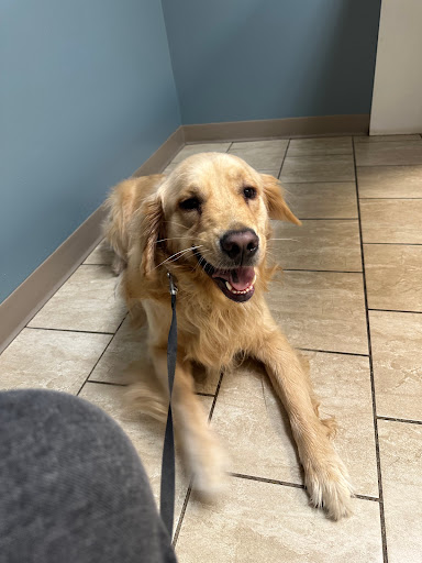 Animal Hospital of Worthington Gallery - United States