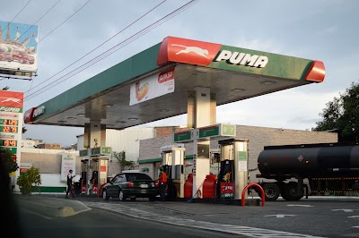 Photos of Puma La Villa