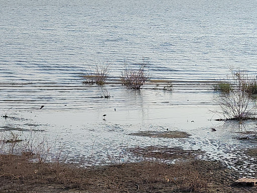 Utah Lake Public Access Point American - Thumbnail