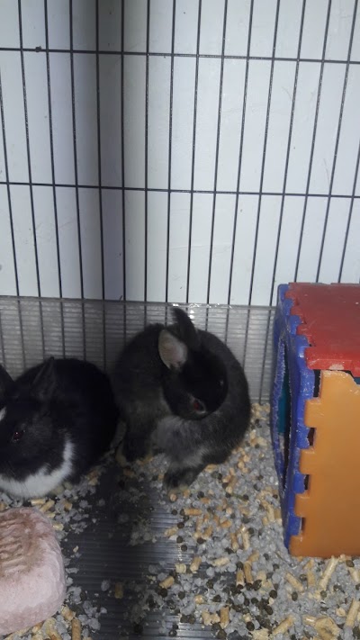 Photos of Bigos - Everything for Exotic Animals
