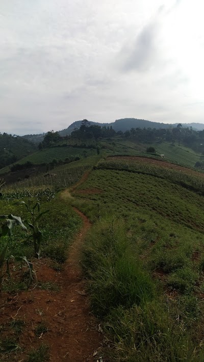 Photos of Track sepeda gunung JSPD