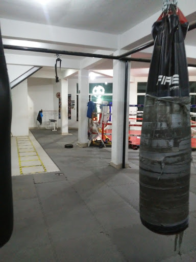 Gym de Box El Jab - Thumbnail