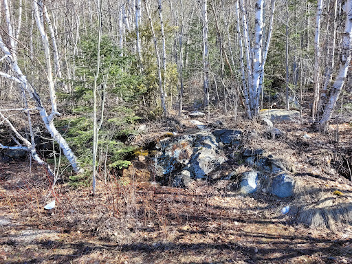 Agawa Bay Scenic Lookout - Thumbnail