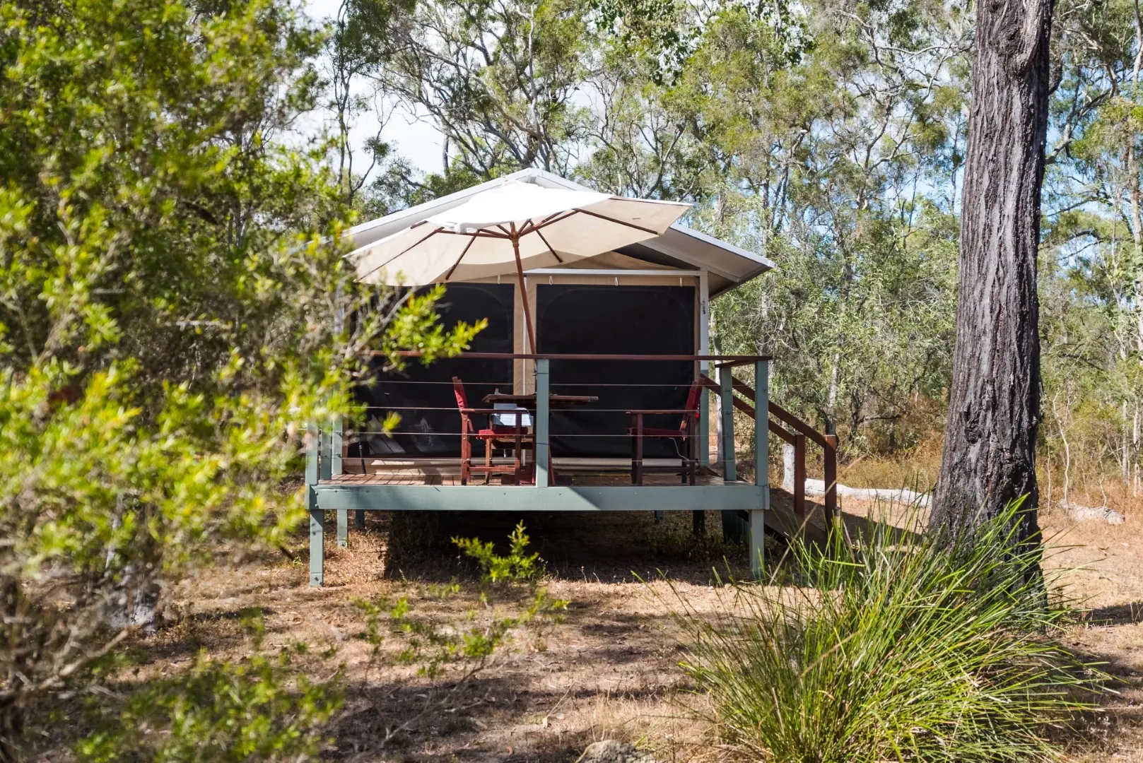 Wild Nature Lodge