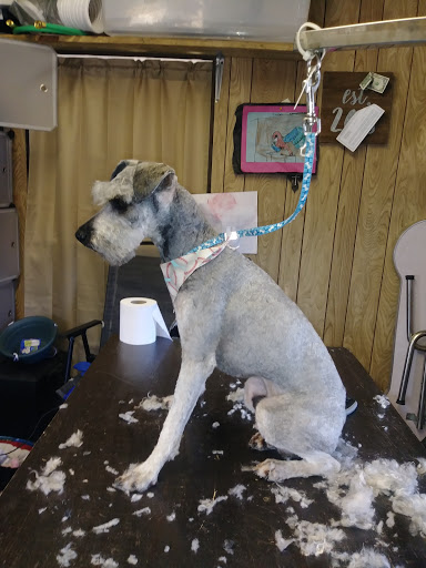 Breezy's Grooming Salon - Thumbnail