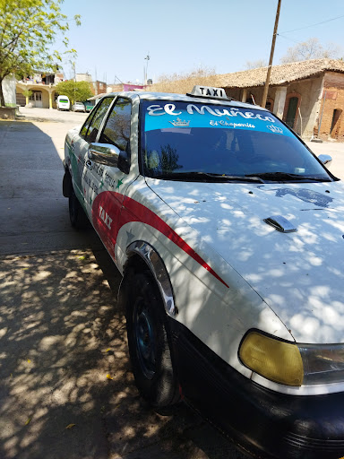CITIO DE TAXIS ASUNCIÓN DE MARIA - Thumbnail