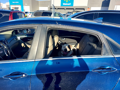 DNA Auto Family, LLC - Thumbnail