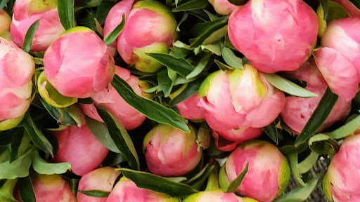Westerville Florist - Thumbnail