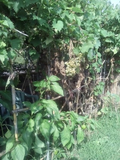 Photos of Eleni Family Apartments