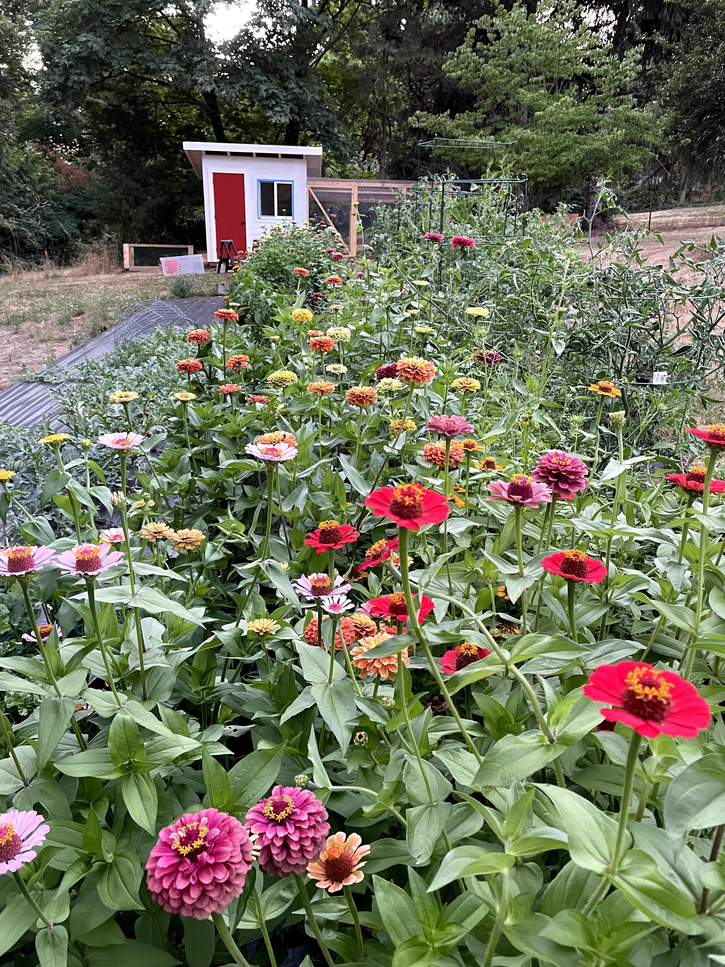 The Worm Farm Portland