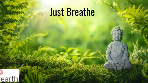 Salt of the Earth Therapeutic Spa