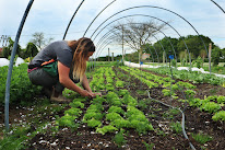 Le Jardin du Kikiwi à Valence