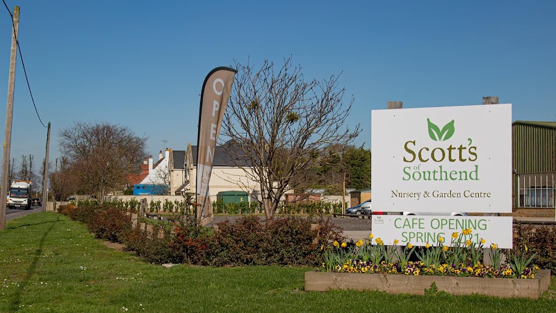 Scott's of Southend photo 2