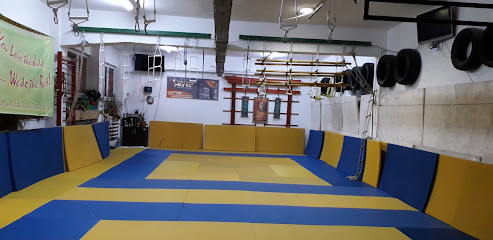 A.C.S. Hikaritori Mures , Judo, FipFit, Virgoncka
