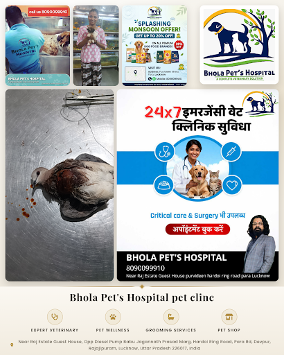 Bhola Pet's Hospital is a trusted animal hospital offering expert veterinarians close to me, comp… post image