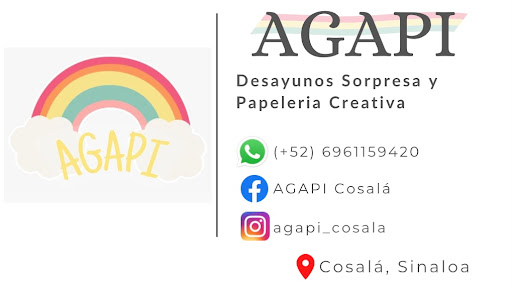 Agapi Cosalá - Visual