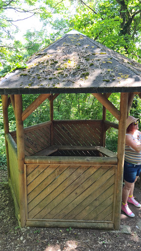 Rastplatz im Wald