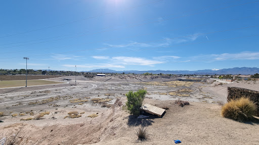 Spring Valley Labyrinth - Visual