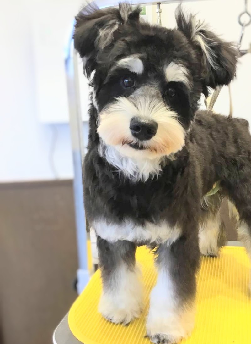 ペテモグルーミングサロン大垣店