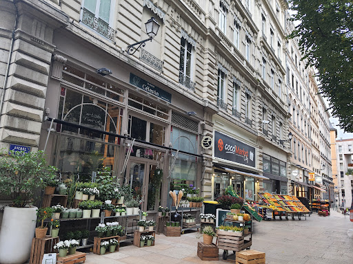 Coccimarket City Saint Jean Primeurs Gallery - France