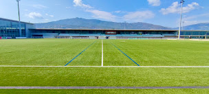 Photo n°14 de S.Green à Borgo (Paysagiste)