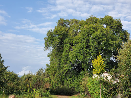 Rancho Quiroz El Fresno - Thumbnail