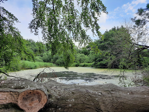 Härenbeker Teich - Thumbnail