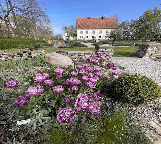 Museum Lars Jonsson by null