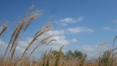Photos of 명촌대교