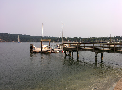 Public Dock - Visual