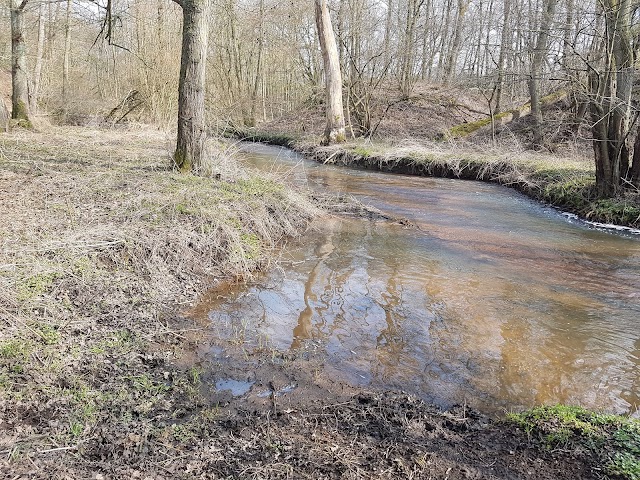 Nationaal park De Maasduinen