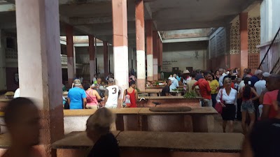 Photos of Muelle Real