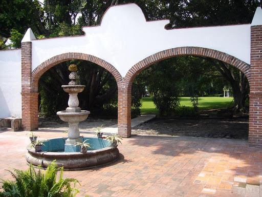 Finca Aranzaá - Visual