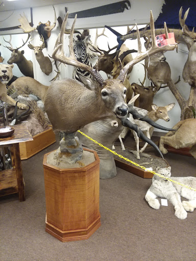 Screaming Lion Antiques - Thumbnail