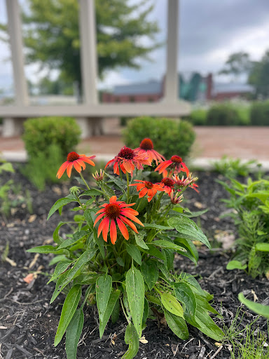 Merchant Park - Thumbnail