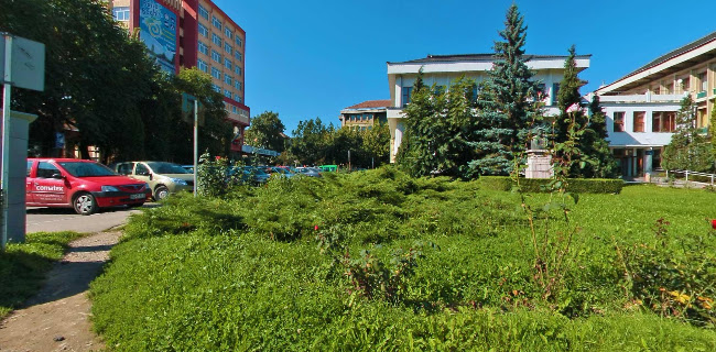 Consiliul Județean Sălaj - Zalău
