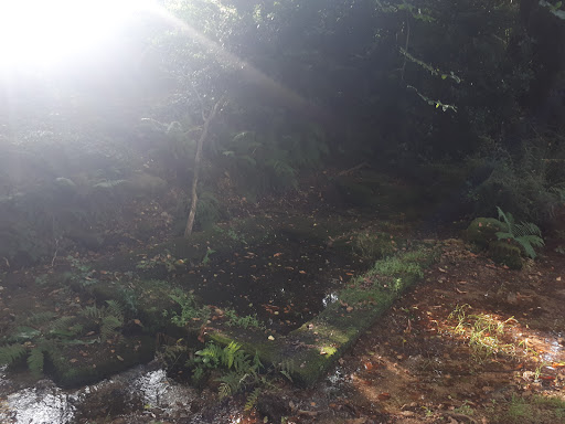 Lavoir du Moustoir - Thumbnail