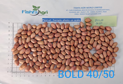 Af1qipopusvsyjcvdtxraovaiyzggcwptxmuj4mxis52=s423 K No