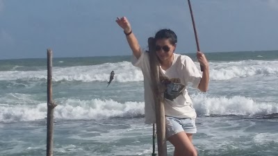 Photos of Panora Tours