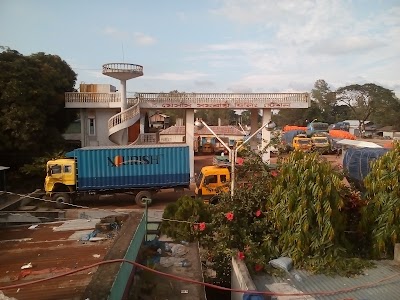 Photos of Food Garden